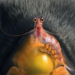 happy-feet-2-avec-mumble-jpg
