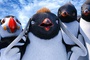 happy-feet-2-la-suite-jpg