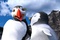 happy-feet-2-le-film-de-george-miller-jpg