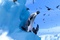 happy-feet-2-le-film-le-george-miller-jpg