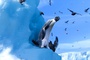 happy-feet-2-le-film-le-george-miller-jpg