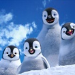 happy-feet-2-suite-du-film-de-george-miller-jpg