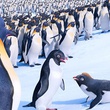 la-suite-de-happy-feet-happy-feet-2-jpg
