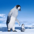 la-suite-des-aventures-happy-feet-2-jpg