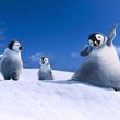 le-film-happy-feet-2-jpg