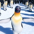 les-pingouins-happy-feet-2-jpg