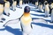 les-pingouins-happy-feet-2-jpg