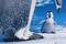 mumble-dans-happy-feet-2-jpg