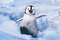 mumble-happy-feet-2-jpg