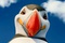 Happy Feet 2 le film
