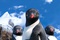 pingouins-happy-feet-2-jpg