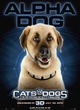 affiche alpha dog