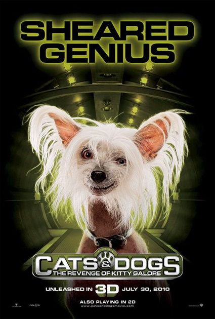 affiche sheared genius