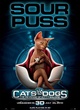affiche sour puss