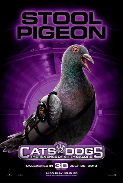 affiche stool pigeon