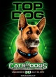 affiche top dog