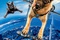cats and dogs the revenge of kitty galore xlg