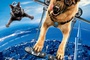 cats and dogs the revenge of kitty galore xlg