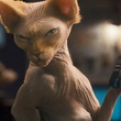 sour puss