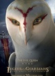 affiche teaser nyra