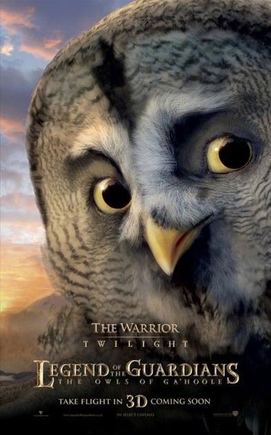 affiche teaser twilight