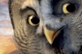 affiche teaser twilight