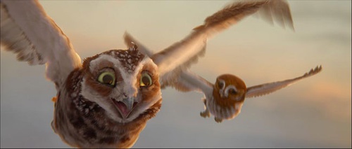 deux chouettes volant