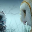 deux chouettes