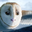 la chouette soren