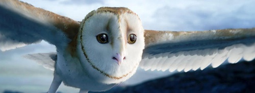 la chouette soren