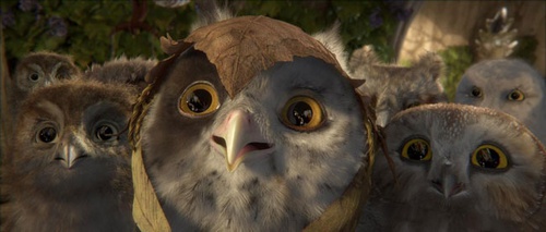 le chef des chouettes