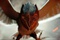 le m  chant metalbeak