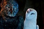 metalbeak nyra