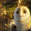 soren