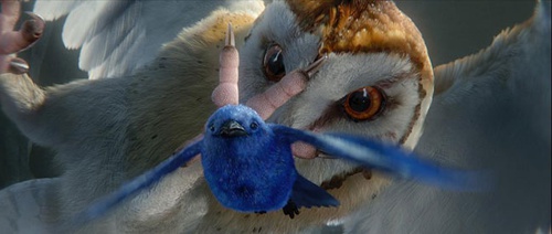 une chouette attrapant un oiseau
