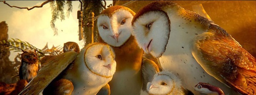 une famille de chouette