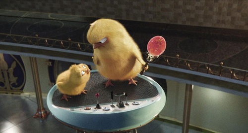 des poussins