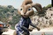 lapin-voiture-jpg