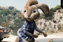 lapin-voiture-jpg