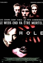 Affiche miniature du film The Hole