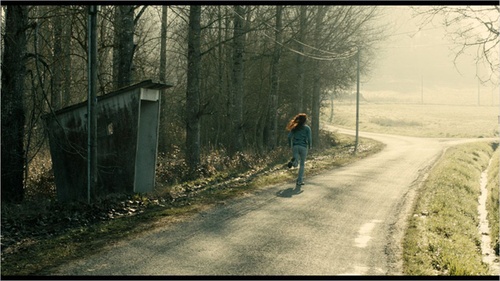 agathe-bonitzer-qui-fuit-jpg