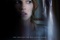 Affiche du film La locataire 