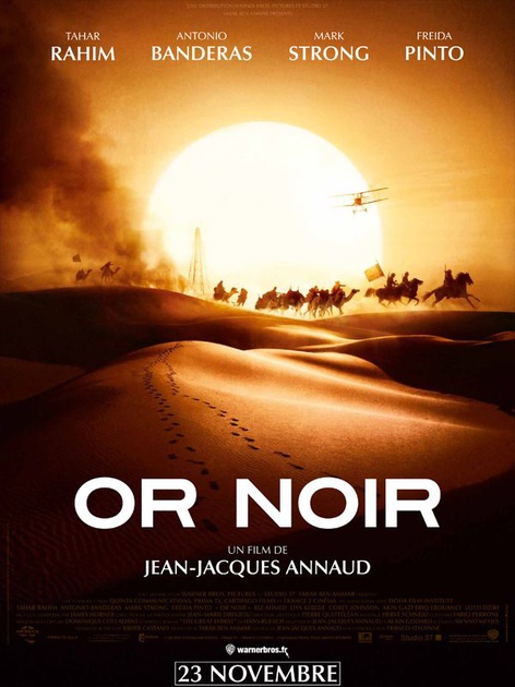 Affiche du film Or Noir 