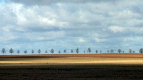 Paysage documentaire de Pascal Boucher