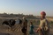 scene docu The Soldier s tale