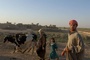 scene docu The Soldier s tale