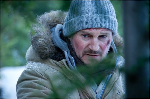 liam-neeson-dans-la-foret-jpg