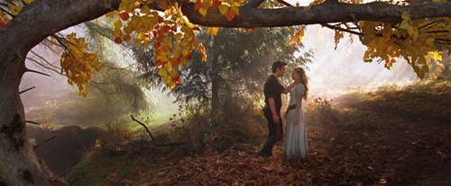 copie-de-shiloh-fernandez-et-amanda-seyfried-jpg