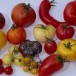 l  gumes dans le documentaire