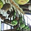 l  gumes